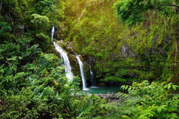 a-estrada-de-hana-no-havai-1