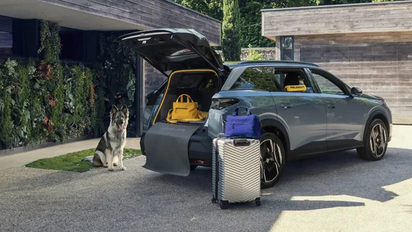 peugeot-e-5008-dog-edition-suv-eletrico-cachorros