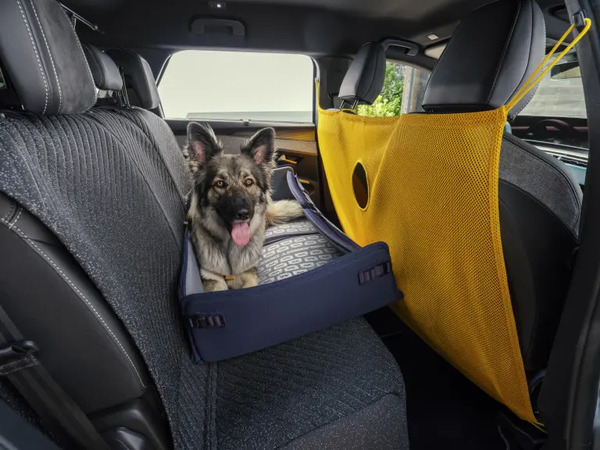 peugeot-e-5008-dog-edition-suv-eletrico-cachorros-1