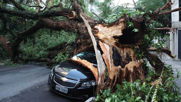 algo-caiu-no-meu-carro-na-tempestade-o-seguro-cobre-1